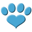 Cat Health