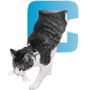 Catflapman