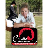 Cavallo Inc