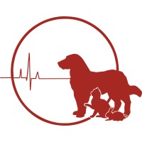 Central Vet Hospital