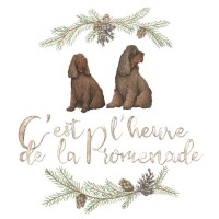 C'est l'heure de la promenade