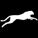 Cheetah Stand