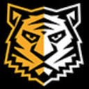 Chemicaltiger