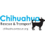 Chihuahua Rescue & Transport Inc