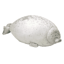 Chonky Store