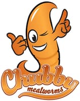 Chubby Mealworms UK