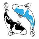 Coastal Koi