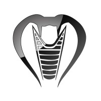 Cobra Transmission