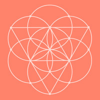 Conscious Items