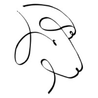 Crazy For Ewe