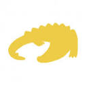 Crocodiles Of The World