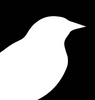 Cuckoo Collections