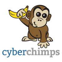 CyberChimps WordPress Theme
