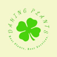 DaHing Plants
