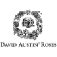 David Austin Roses