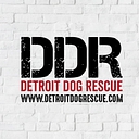Detroit Dog Rescue