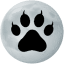 Digital Cheetah