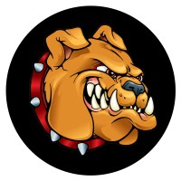 Digital Guard Dawg