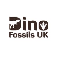 Dino Fossils UK
