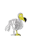 Dodo Games