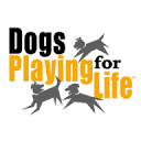 Dogs Playing For Life