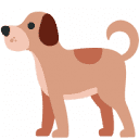 Dogsforsaleireland
