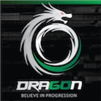 Dragon Fight Wears