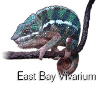 East Bay Vivarium