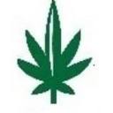 E Cannabis Dispensary