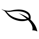 Eccotique Spa & Salon