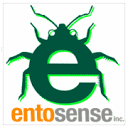 Edible Insects