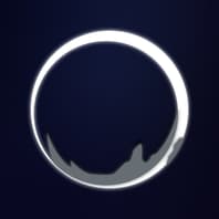 Emblems Report