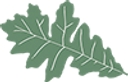 Enchanted Leaves