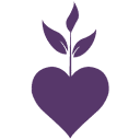 Essential Oil Wizardry