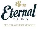 Eternalpaws