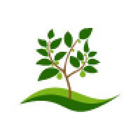Evergreen Land