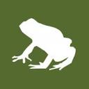 Fantasticfrogs