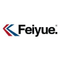 Feiyue