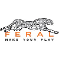 Feral Interactive