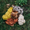 Fungi Ally