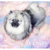 Furbaby