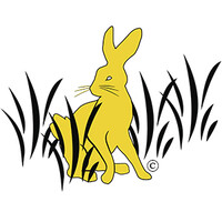 Golden Rabbit II