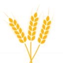 Hawthorne Country Store