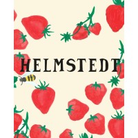 Helmstedt Online
