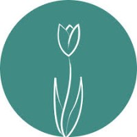 Honest Basics