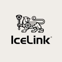Icelink Watch