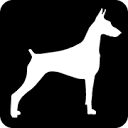 Illinois Doberman Rescue Plus