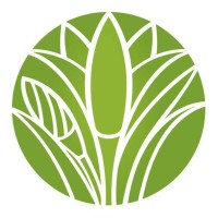 Inesscents Aromatic Botanicals