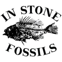 Instonefossils