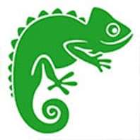 Internet Reptile